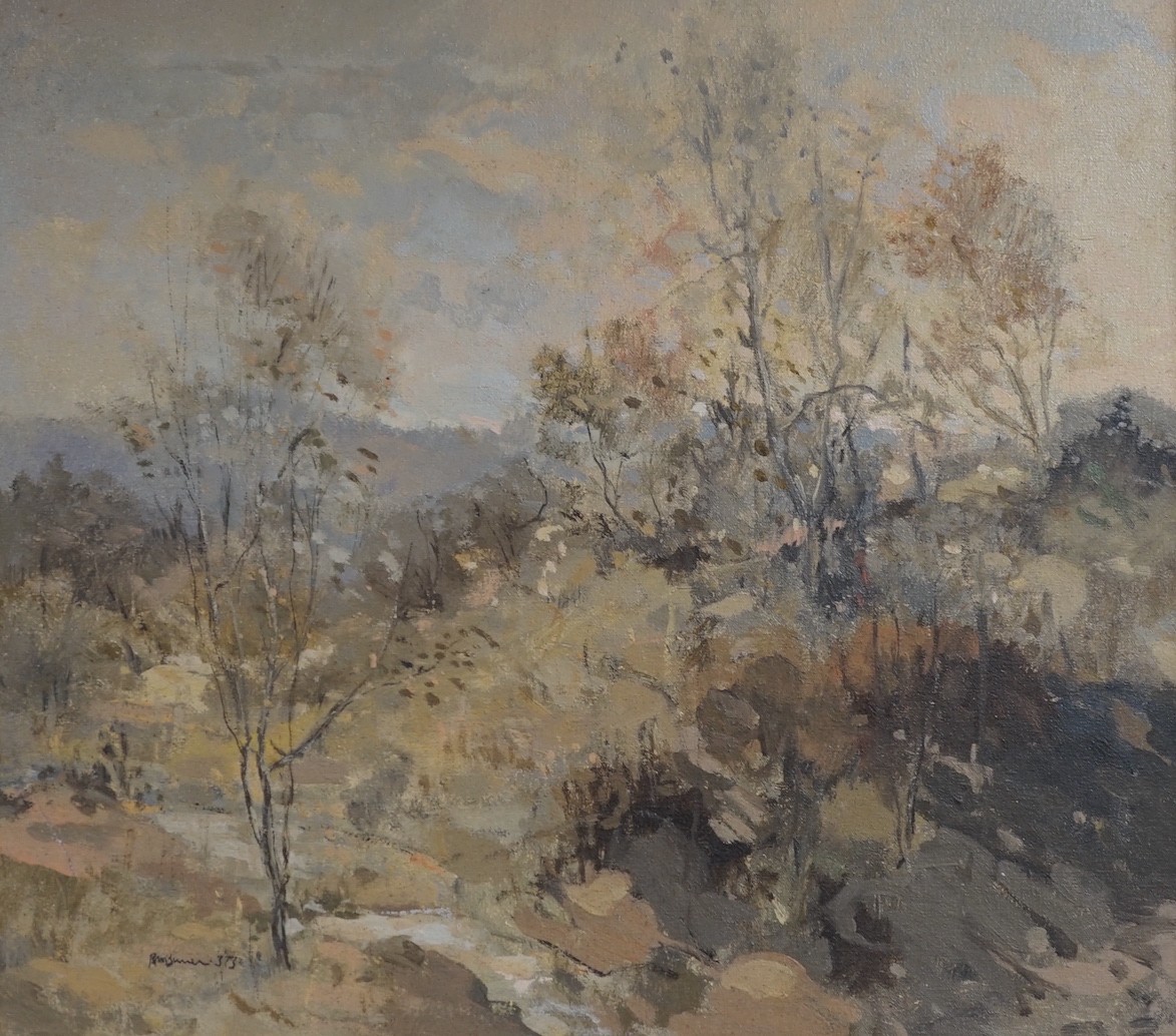 RMB, oil on canvas, Trees on a hillside, signed and dated 3/73, 45 x 50cm